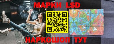 дмт Ставрополь