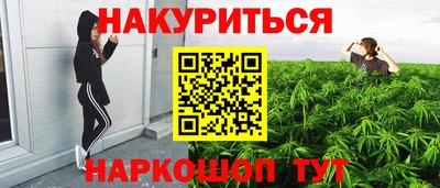 дмт Ставрополь