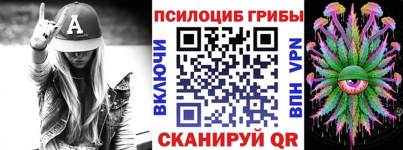 где купить   Валуйки  Галлюциногенные грибы GOLDEN TEACHER 
