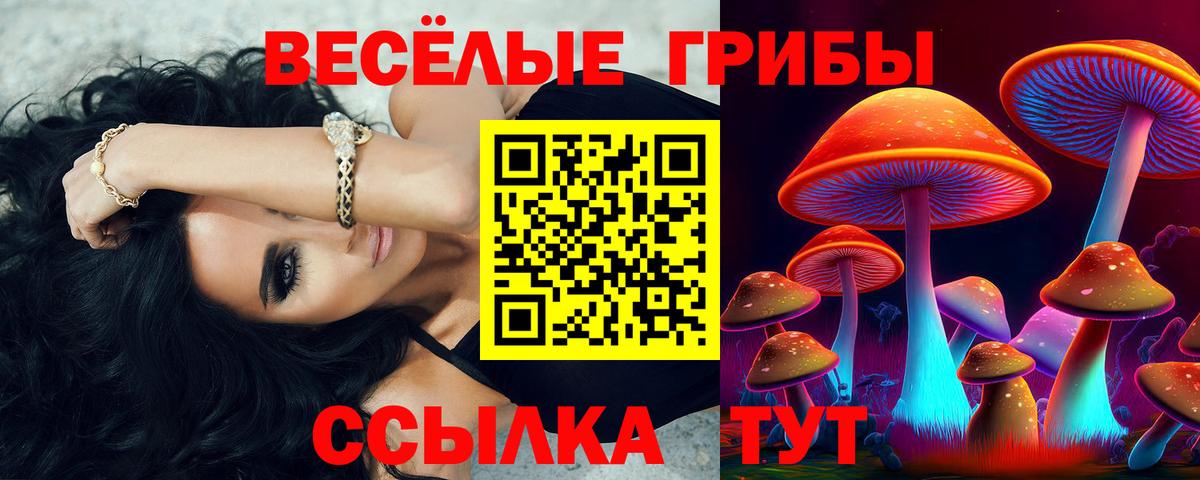 Валуйки  Псилоцибиновые грибы прущие грибы  Вход с VPN 