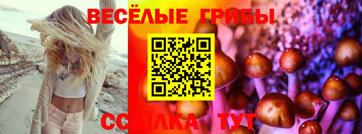 Псилоцибиновые грибы мицелий Валуйки